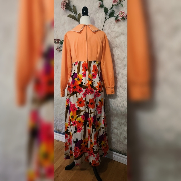 Yes Honey ? - 1970s Floral and Coral Peter Pan Collared Maxi Dress - Picture 4 of 6